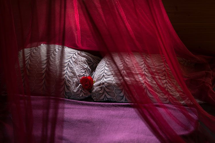 Cabane dans les arbres en amoureux Cabane dans les arbres en amoureux