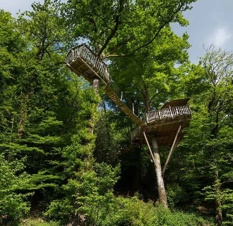 Cabane dans les arbres en Bretagne Cabane dans les arbres en Bretagne